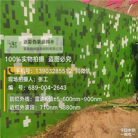 山西星空迷彩漆，夏令营训练,数码迷彩作训墙,围墙